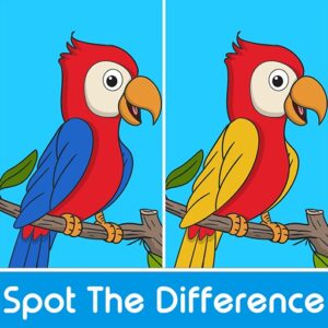 Spot the Difference Game