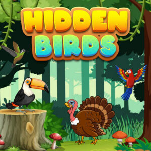 Hidden Birds Game