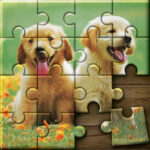 Jigsaw Puzzle