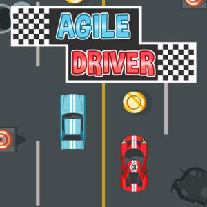 Agile Driver Game