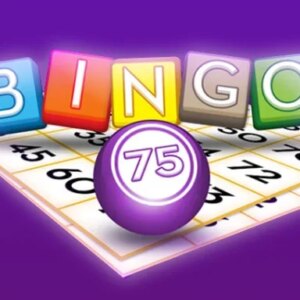 Bingo 75 Game