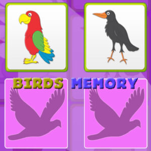 Kids Memory with Birds Game