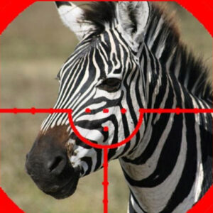 ZEBRA HUNTER Game