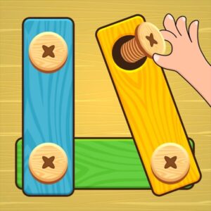 Bolts and Nuts - Puzzle Game