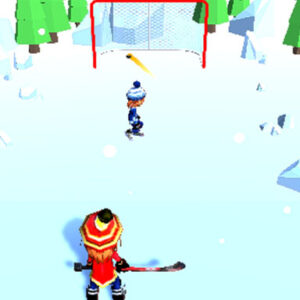 Hockey Challenge 3D Game