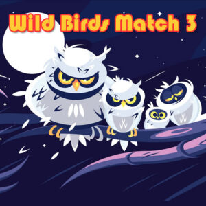 Wild Birds Match 3 Game