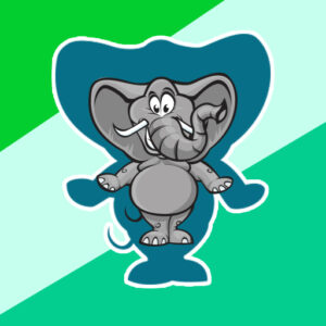 Animals Shapes for kids Education Game