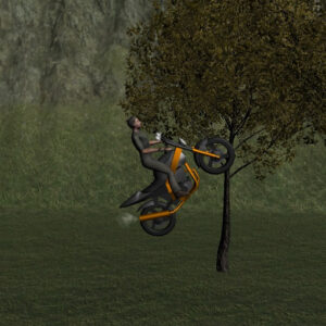 Mountain Bike Rider Game